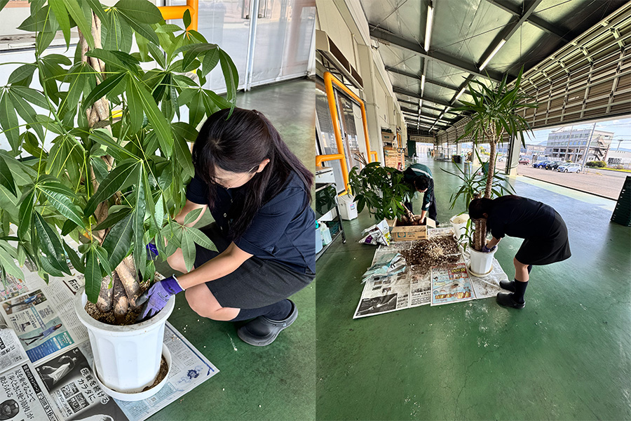 フレッシュ青果リクルートブログ｜北九州営業所