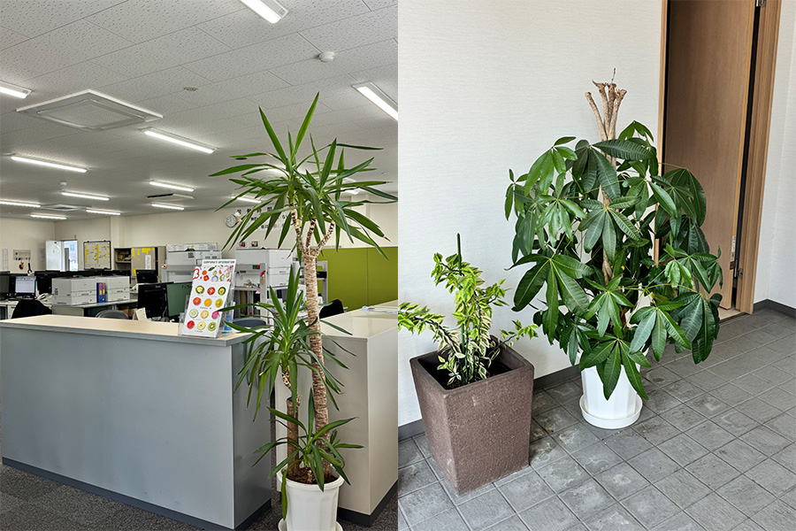 フレッシュ青果リクルートブログ｜北九州営業所