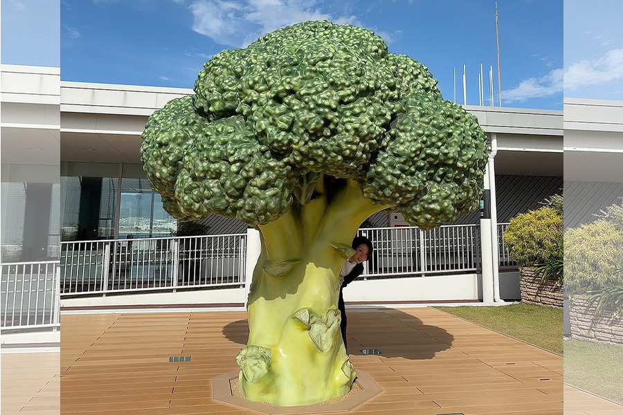 フレッシュ青果リクルートブログ｜関西西宮営業所