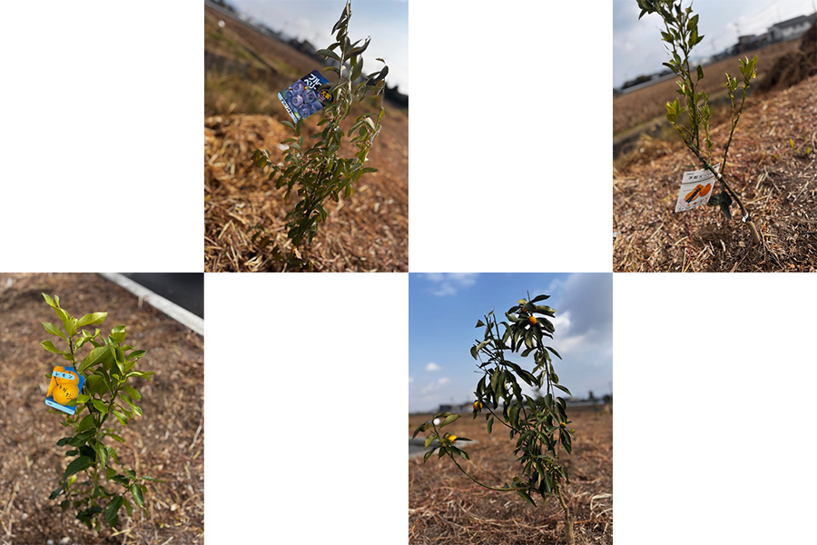 フレッシュ青果リクルートブログ｜熊本営業所